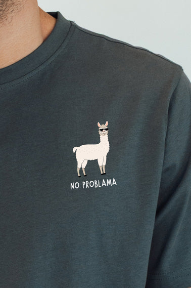 No Problama